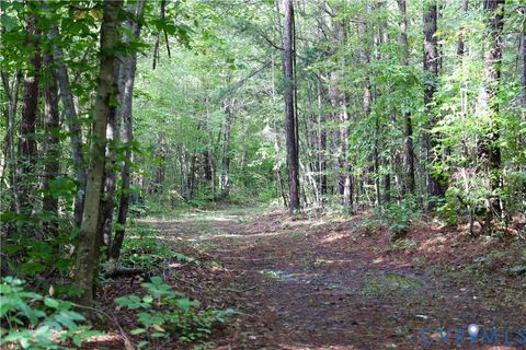Tiny photo for 0 Crymes Road, Meherrin, VA 23954 (MLS # 2527295)