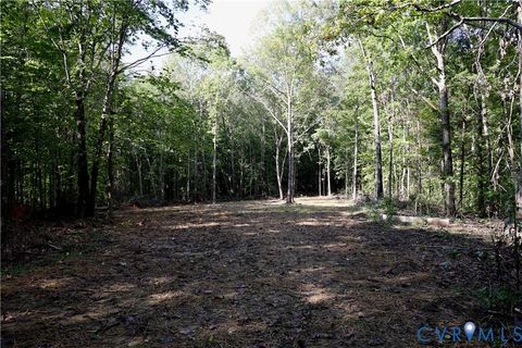 Tiny photo for 0 Crymes Road, Meherrin, VA 23954 (MLS # 2527295)