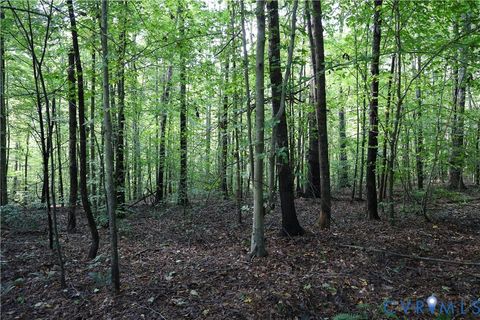 Tiny photo for 0 Crymes Road, Meherrin, VA 23954 (MLS # 2527295)