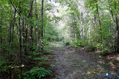 Tiny photo for 0 Crymes Road, Meherrin, VA 23954 (MLS # 2527295)