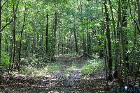 Tiny photo for 0 Crymes Road, Meherrin, VA 23954 (MLS # 2527295)