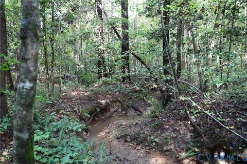 Tiny photo for 0 Crymes Road, Meherrin, VA 23954 (MLS # 2527295)