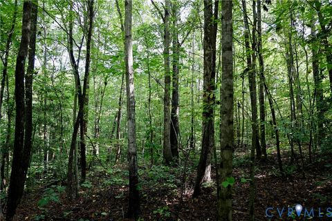 Tiny photo for 0 Crymes Road, Meherrin, VA 23954 (MLS # 2527295)