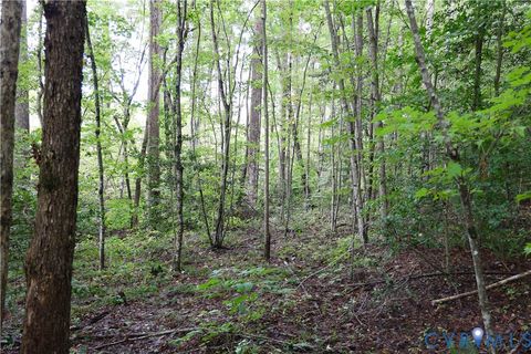 Tiny photo for 0 Crymes Road, Meherrin, VA 23954 (MLS # 2527295)