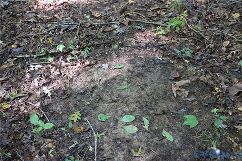 Tiny photo for 0 Crymes Road, Meherrin, VA 23954 (MLS # 2527295)