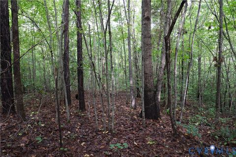 Tiny photo for 0 Crymes Road, Meherrin, VA 23954 (MLS # 2527295)