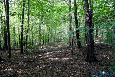 Tiny photo for 0 Crymes Road, Meherrin, VA 23954 (MLS # 2527295)