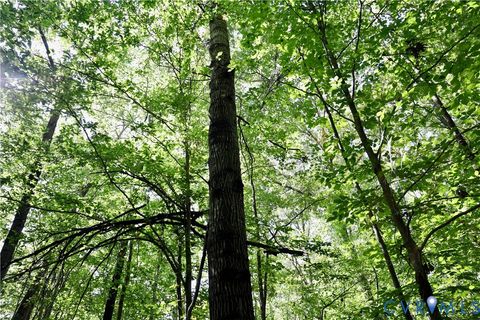 Tiny photo for 0 Crymes Road, Meherrin, VA 23954 (MLS # 2527295)