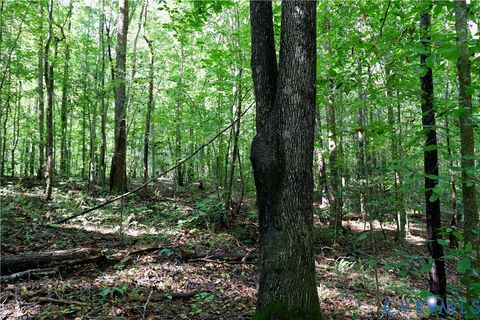 Tiny photo for 0 Crymes Road, Meherrin, VA 23954 (MLS # 2527295)