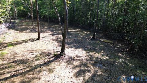 Tiny photo for 0 Crymes Road, Meherrin, VA 23954 (MLS # 2527295)