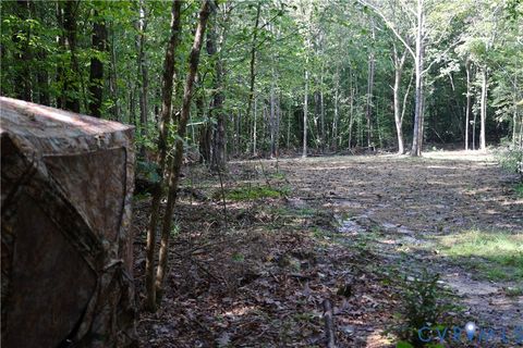 Tiny photo for 0 Crymes Road, Meherrin, VA 23954 (MLS # 2527295)