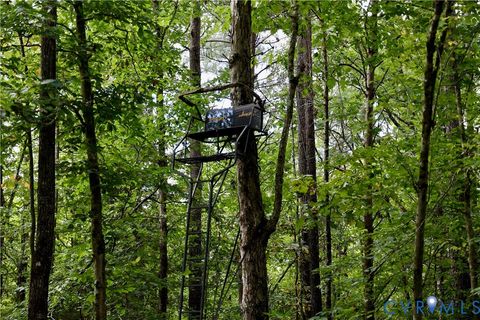 Tiny photo for 0 Crymes Road, Meherrin, VA 23954 (MLS # 2527295)