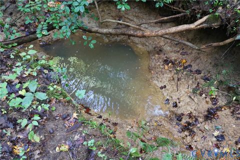 Tiny photo for 0 Crymes Road, Meherrin, VA 23954 (MLS # 2527295)