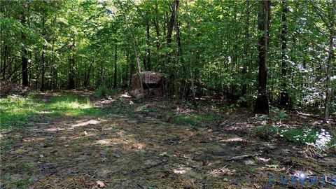 Tiny photo for 0 Crymes Road, Meherrin, VA 23954 (MLS # 2527295)