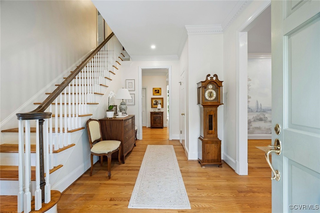 101 Branchview Court