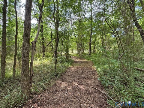 Tiny photo for 00 Poplar Springs Drive, Ashland, VA 23005 (MLS # 2605758)