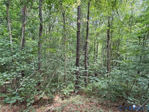 Tiny photo for 00 Poplar Springs Drive, Ashland, VA 23005 (MLS # 2605758)