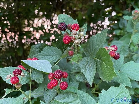 Tiny photo for 00 Poplar Springs Drive, Ashland, VA 23005 (MLS # 2605758)