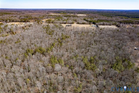 Tiny photo for 49.26 Acres Jericho Road, Ruther Glen, VA 22546 (MLS # 2624668)