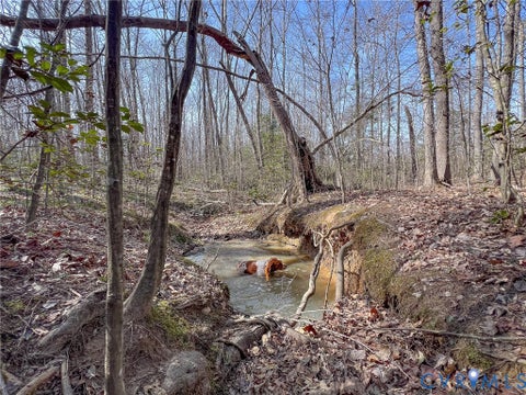 Tiny photo for 49.26 Acres Jericho Road, Ruther Glen, VA 22546 (MLS # 2624668)