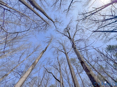 Tiny photo for 49.26 Acres Jericho Road, Ruther Glen, VA 22546 (MLS # 2624668)