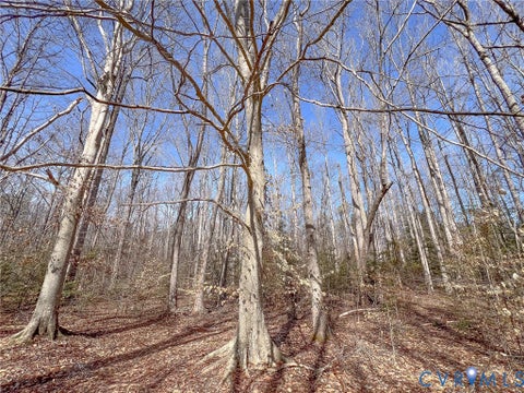 Tiny photo for 49.26 Acres Jericho Road, Ruther Glen, VA 22546 (MLS # 2624668)