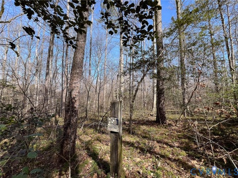 Tiny photo for 49.26 Acres Jericho Road, Ruther Glen, VA 22546 (MLS # 2624668)