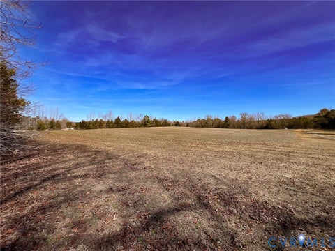 Tiny photo for 49.26 Acres Jericho Road, Ruther Glen, VA 22546 (MLS # 2624668)