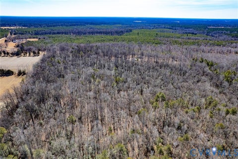 Tiny photo for 49.26 Acres Jericho Road, Ruther Glen, VA 22546 (MLS # 2624668)