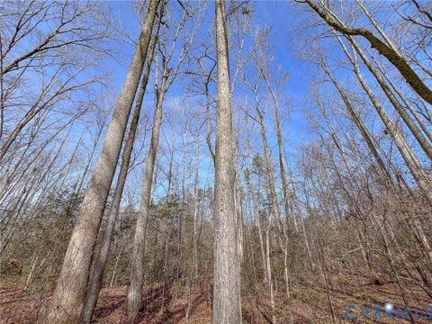 Tiny photo for 49.26 Acres Jericho Road, Ruther Glen, VA 22546 (MLS # 2624668)