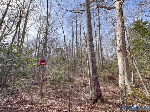 Tiny photo for 49.26 Acres Jericho Road, Ruther Glen, VA 22546 (MLS # 2624668)