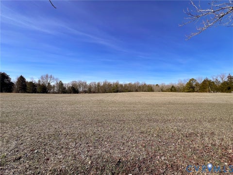 Tiny photo for 49.26 Acres Jericho Road, Ruther Glen, VA 22546 (MLS # 2624668)