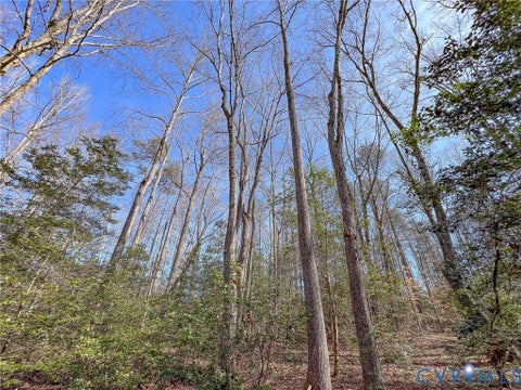Tiny photo for 49.26 Acres Jericho Road, Ruther Glen, VA 22546 (MLS # 2624668)