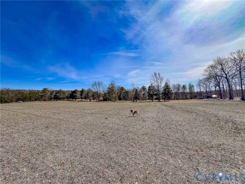 Tiny photo for 49.26 Acres Jericho Road, Ruther Glen, VA 22546 (MLS # 2624668)