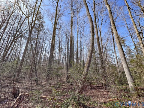 Tiny photo for 49.26 Acres Jericho Road, Ruther Glen, VA 22546 (MLS # 2624668)