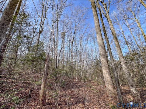 Tiny photo for 49.26 Acres Jericho Road, Ruther Glen, VA 22546 (MLS # 2624668)