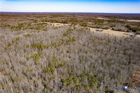 Tiny photo for 49.26 Acres Jericho Road, Ruther Glen, VA 22546 (MLS # 2624668)