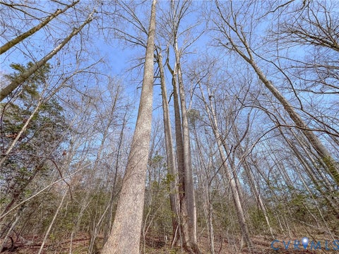 Tiny photo for 49.26 Acres Jericho Road, Ruther Glen, VA 22546 (MLS # 2624668)