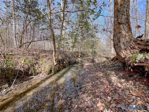Tiny photo for 49.26 Acres Jericho Road, Ruther Glen, VA 22546 (MLS # 2624668)
