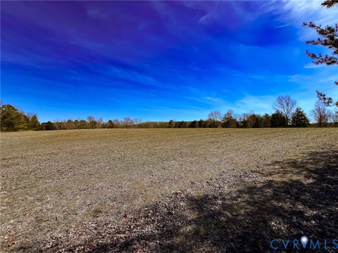 Tiny photo for 49.26 Acres Jericho Road, Ruther Glen, VA 22546 (MLS # 2624668)