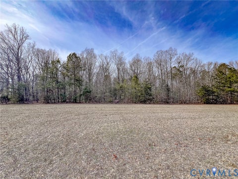Tiny photo for 49.26 Acres Jericho Road, Ruther Glen, VA 22546 (MLS # 2624668)