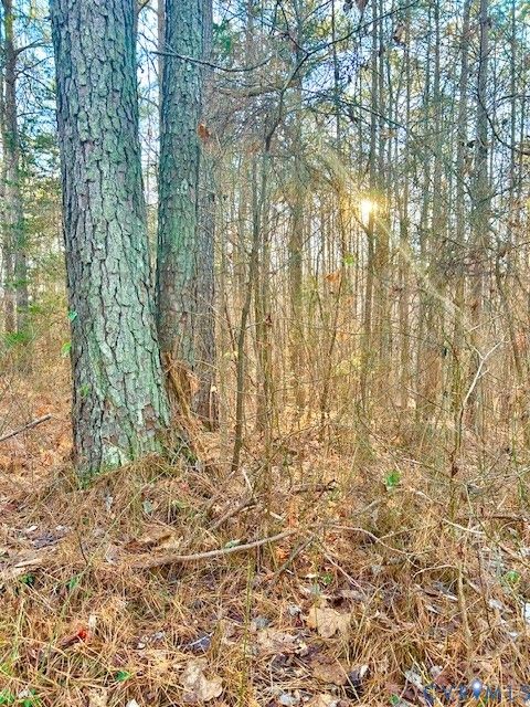 19331 River Road Chesterfield VA 23838