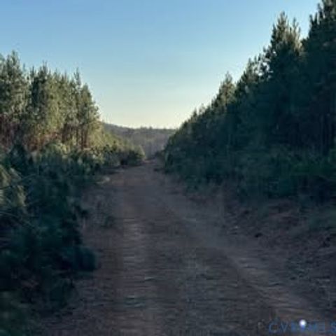 Photo of Lot 14 Green Creek Road, Schuyler, VA 22969 (MLS # 2519242)