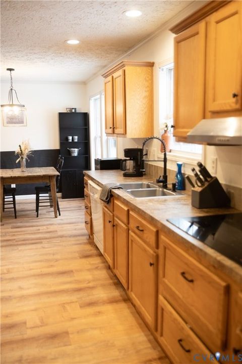 Tiny photo for 13520 Dykeland Road, Amelia, VA 23002 (MLS # 2532938)