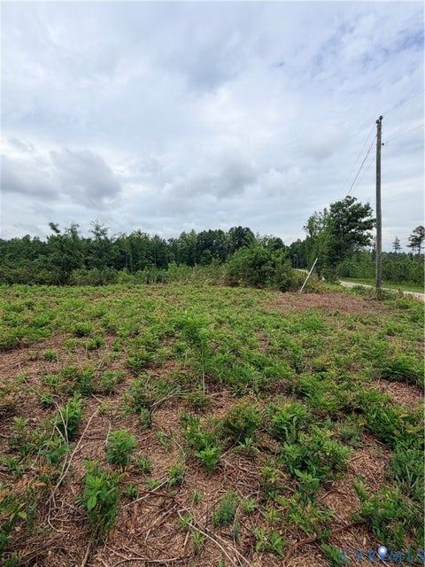 Tiny photo for 0 New Grove Road, Kenbridge, VA 23944 (MLS # 2615535)