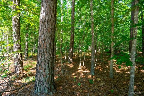 Tiny photo for 20118 River Road, Chesterfield, VA 23838 (MLS # 2520503)
