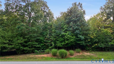 Tiny photo for XX Pembelton Drive, Amelia Courthouse, VA 23002 (MLS # 2623994)