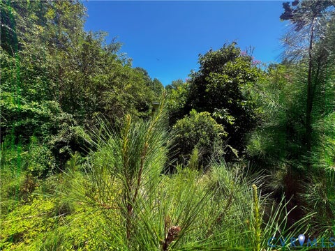 Tiny photo for 8755 Jessie Dupont Highway, Kilmarnock, VA 24541 (MLS # 2607115)