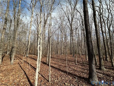 Tiny photo for Lot 2 Dogtown Road, Sandy Hook, VA 23063 (MLS # 2531999)