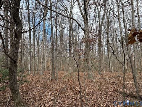 Tiny photo for Lot 2 Dogtown Road, Sandy Hook, VA 23063 (MLS # 2531999)